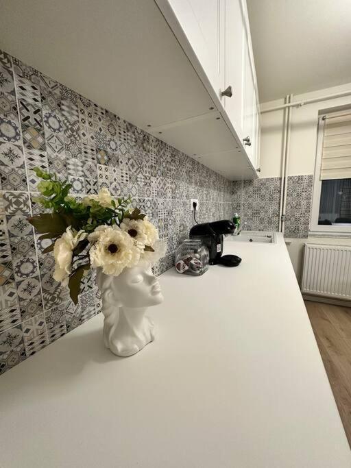 Ultracentral Luxury Apartament Timisoara Exterior photo