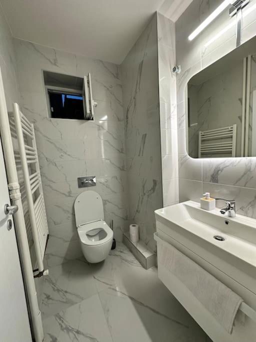 Ultracentral Luxury Apartament Timisoara Exterior photo