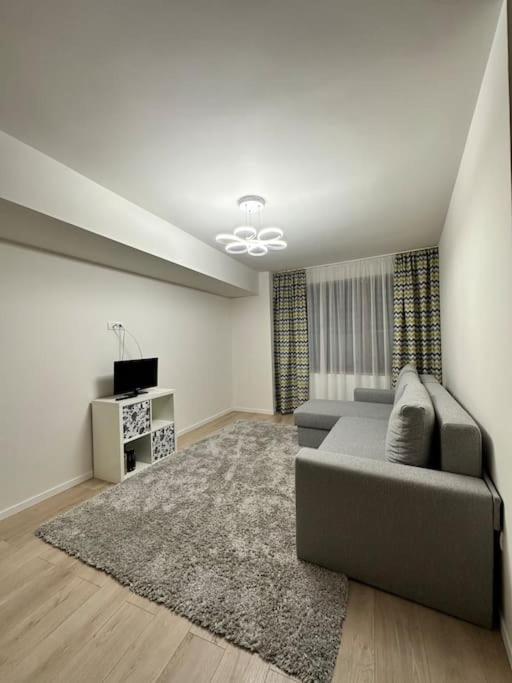 Ultracentral Luxury Apartament Timisoara Exterior photo
